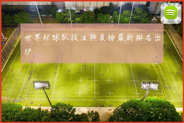 世界杯球队投注热度榜最新排名出炉