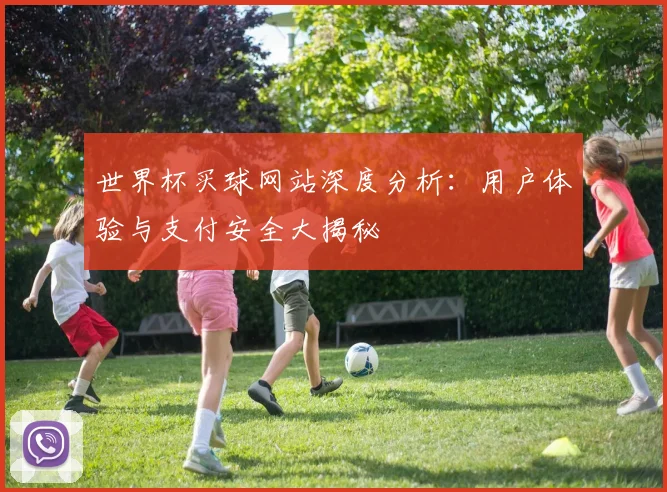 世界杯买球网站深度分析：用户体验与支付安全大揭秘