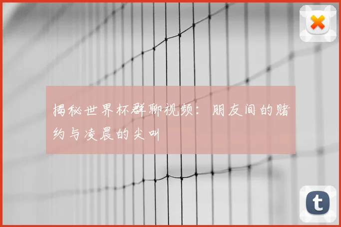 揭秘世界杯群聊视频：朋友间的赌约与凌晨的尖叫