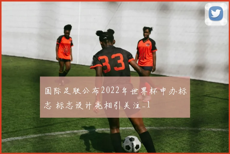 国际足联公布2022年世界杯申办标志 标志设计亮相引关注_1