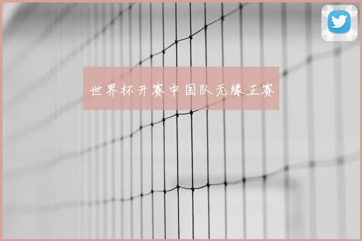 世界杯开赛中国队无缘正赛