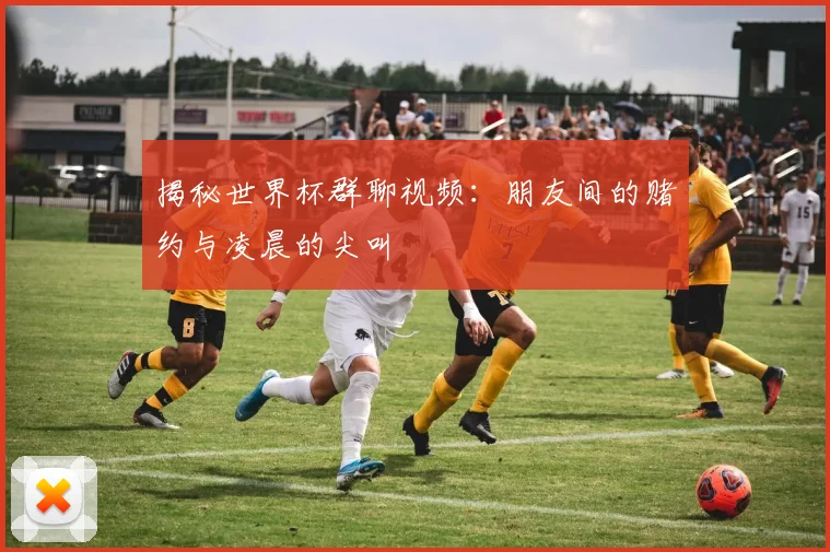 揭秘世界杯群聊视频：朋友间的赌约与凌晨的尖叫
