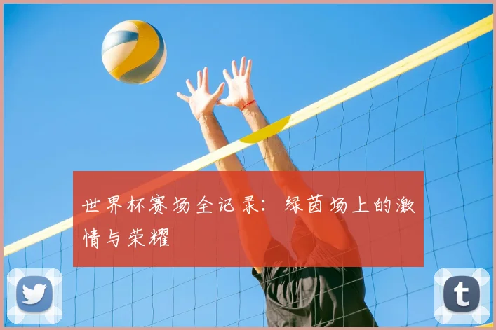 世界杯赛场全记录：绿茵场上的激情与荣耀