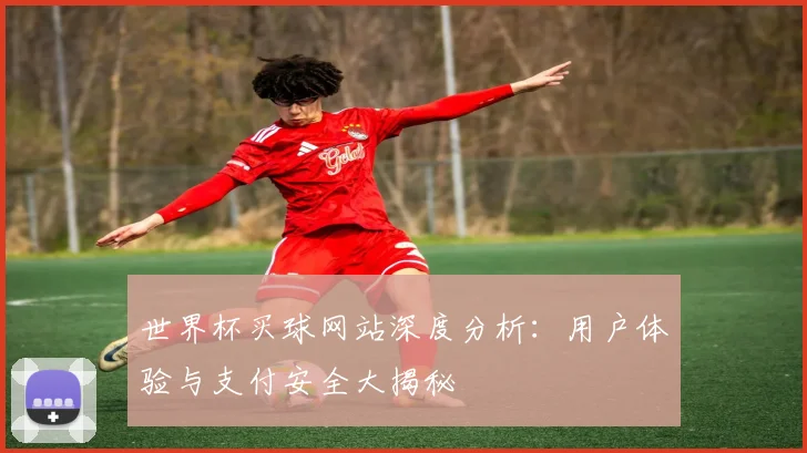 世界杯买球网站深度分析：用户体验与支付安全大揭秘