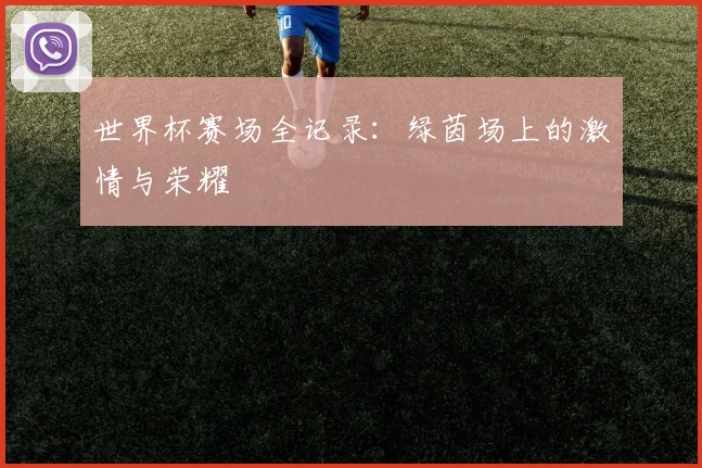 世界杯赛场全记录：绿茵场上的激情与荣耀