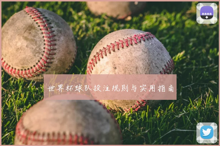 世界杯球队投注规则与实用指南