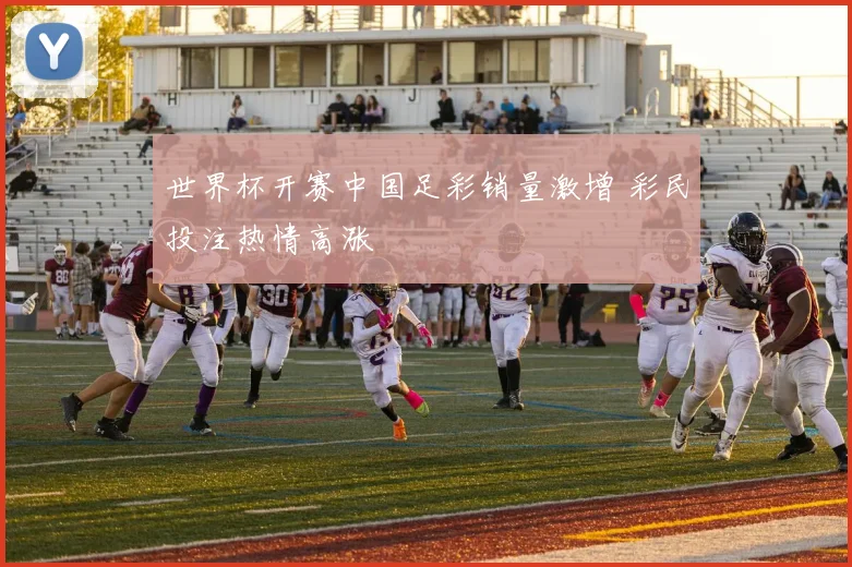 世界杯开赛中国足彩销量激增 彩民投注热情高涨