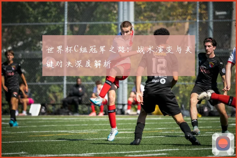 世界杯C组冠军之路：战术演变与关键对决深度解析