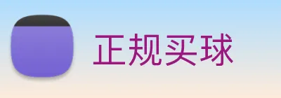 正规买球 logo